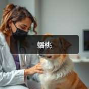 蟠桃(图2)