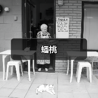 蟠桃(图4)