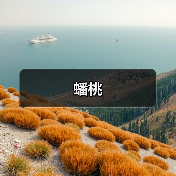 蟠桃(图3)