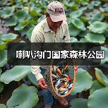 喇叭沟门国家森林公园(图4)