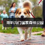 喇叭沟门国家森林公园