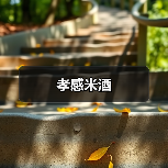 孝感米酒(图2) 孝感米酒(图2)