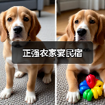 正强农家宴民宿(图3)