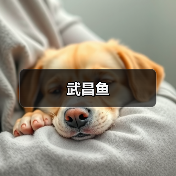 武昌鱼(图3) 武昌鱼(图3)