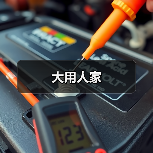 大用人家(图4)