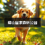 蟒山国家森林公园(图4)