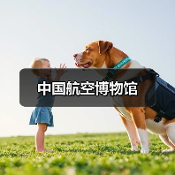 中国航空博物馆