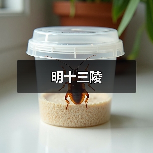 明十三陵(图3)