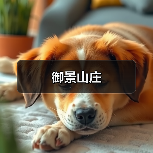 御景山庄(图3) 御景山庄(图3)