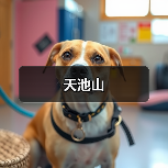 天池山(图4)