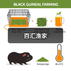 百汇渔家 - 辰飞雨和风乐游农庄
