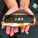云居寺(图3) 云居寺(图3)