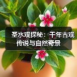 圣水观探秘:千年古观传说与自然奇景(图2) 圣水观探秘:千年古观传说与自然奇景(图2)