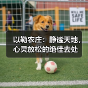 以勒农庄：静谧天地，心灵放松的绝佳去处(图4)