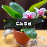 李博家园(图3)