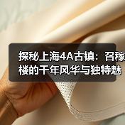 探秘上海4A古镇:召稼楼的千年风华与独特魅力(图4) 探秘上海4A古镇:召稼楼的千年风华与独特魅力(图4)