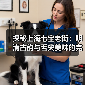 探秘上海七宝老街:明清古韵与舌尖美味的完美邂逅(图3) 探秘上海七宝老街:明清古韵与舌尖美味的完美邂逅(图3)