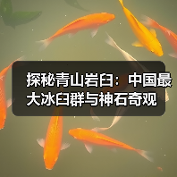 探秘青山岩臼:中国最大冰臼群与神石奇观(图3) 探秘青山岩臼:中国最大冰臼群与神石奇观(图3)
