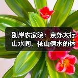 别岸农家院：京郊太行山水间，依山傍水的休闲胜地(图2)