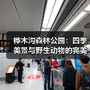 桦木沟森林公园：四季美景与野生动物的完美邂逅 - 辰飞雨和风乐游农庄