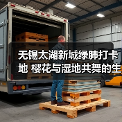 无锡太湖新城绿肺打卡地 樱花与湿地共舞的生态秘境(图3) 无锡太湖新城绿肺打卡地 樱花与湿地共舞的生态秘境(图3)