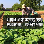 井冈山农家乐交通便利环境优美，探秘自然美景必去(图2)