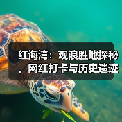 红海湾：观浪胜地探秘，网红打卡与历史遗迹的完美融合 - 辰飞雨和风乐游农庄
