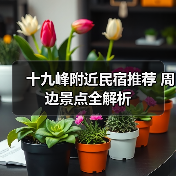 十九峰附近民宿推荐 周边景点全解析(图4)