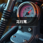 龙月苑(图4)