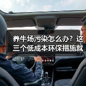 养牛场污染怎么办？这三个低成本环保措施就能解决大问题 - 辰飞雨和风乐游农庄