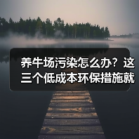 养牛场污染怎么办?这三个低成本环保措施就能解决大问题(图3) 养牛场污染怎么办?这三个低成本环保措施就能解决大问题(图3)