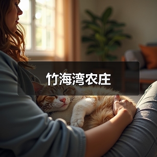竹海湾农庄(图3)
