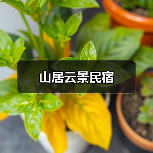 山居云景民宿(图4)