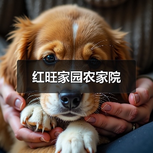 红旺家园农家院(图4)