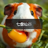 七盘仙谷(图3) 七盘仙谷(图3)
