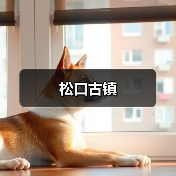 松口古镇(图4) 松口古镇(图4)