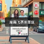 雁南飞茶田景区(图2) 雁南飞茶田景区(图2)
