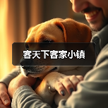 客天下客家小镇(图3) 客天下客家小镇(图3)