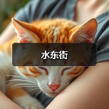 水东街(图1) 水东街(图1)
