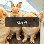 双月湾(图2)