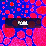 鼎湖山(图4) 鼎湖山(图4)