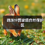 鹞落坪国家级自然保护区(图1) 鹞落坪国家级自然保护区(图1)