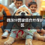 鹞落坪国家级自然保护区(图4) 鹞落坪国家级自然保护区(图4)