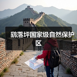 鹞落坪国家级自然保护区 - 辰飞雨和风乐游农庄