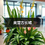 吴楚古长城 - 辰飞雨和风乐游农庄