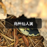 高州仙人洞(图2) 高州仙人洞(图2)