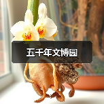 五千年文博园(图3) 五千年文博园(图3)