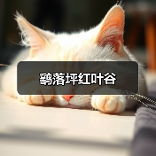 鹞落坪红叶谷(图3) 鹞落坪红叶谷(图3)