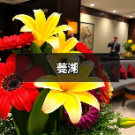 菱湖(图1) 菱湖(图1)