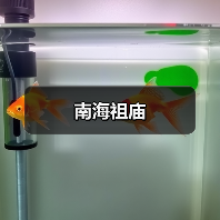 南海祖庙 - 辰飞雨和风乐游农庄